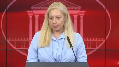 Photo of Andonovska: Para shpalljes së epidemisë i ndërmorëm të gjitha masat