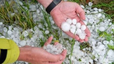 Photo of Bujqit në Lipjan dyfish të goditur: Breshëri u shkatërron prodhimet, kompensimi për 2023 mungon (VIDEO)