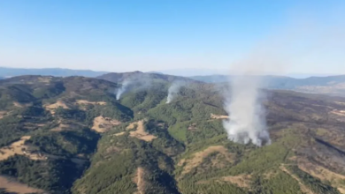 Photo of Në Maqedoninë e Veriut raportohen 12 vatra zjarri, një mbetet aktive