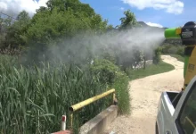 Photo of Të mërkurën do të kryhet dezinsektim tokësor kundër insekteve në Tetovë
