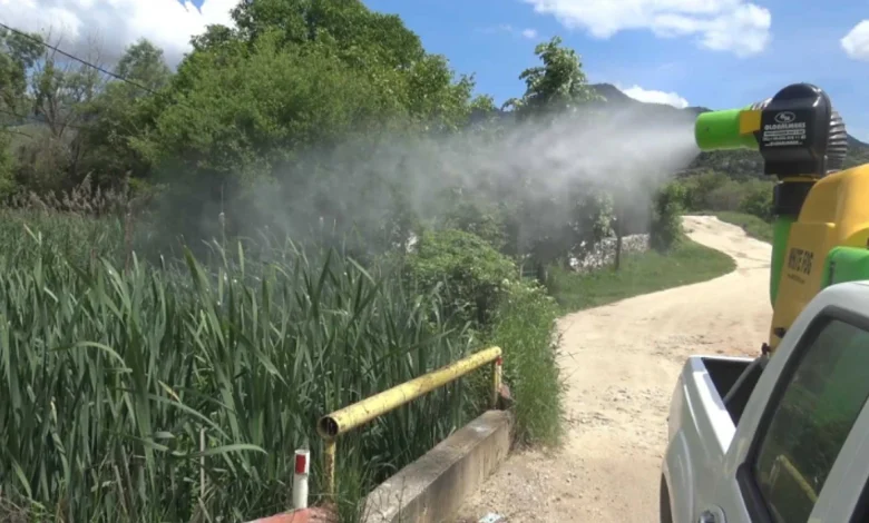 Të mërkurën do të kryhet dezinsektim tokësor kundër insekteve në Tetovë