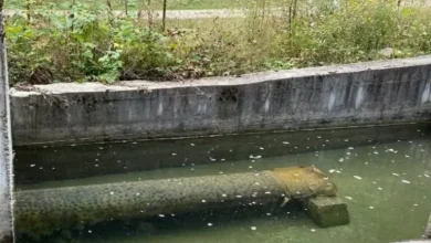 Photo of NPK “Sharri”: Uji në Tetovë është i sigurt për pije
