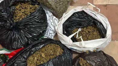 Photo of Bastisje në Shkup: Arrestohen babë e bir
