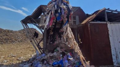 Photo of Asgjësohen mbi 6000 maica në Kosovë, cenonin të drejtat e pronësisë intelektuale