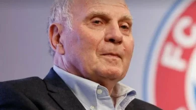 Photo of Hoenes mbyll derën