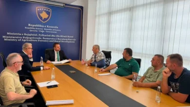 Photo of Ministria e Bujqësisë: Fermerët nuk preken nga procedurat në sektorin e qumështit