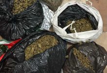 Photo of Lufta kundër drogës: Për një muaj janë sekuestruar mbi 43 kg marihuanë, janë arrestuar 241 persona