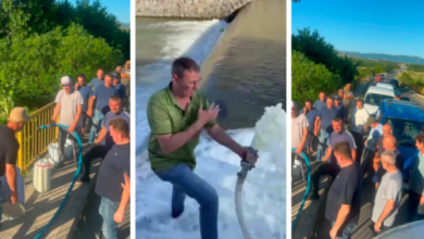 Photo of Fermerët derdhin qumështin, apelojnë për publikim urgjent të rezultateve për Vita-n