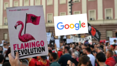 Photo of Dështon sabotimi kibernetik i revolucionarëve flamingo ndaj ekonomisë shqiptare, Google hoqi review false turistike