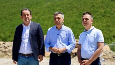 Photo of VLEN: Dënojmë gjuhën e urrejtjes së ministres serbe ndaj Kosovës, ideologjia raciste nuk ka vend në Evropë!