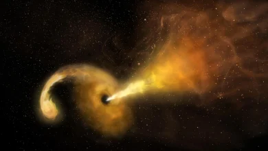 Photo of NASA zbulon një vrimë të zezë supermasive endacake që gllabëroi një yll dhe shkëlqeu si 10 miliardë Diej