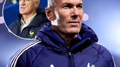 Photo of Ibrahimovic promovon Zidane: Franca nuk ka nevojë për një trajner, por për një menaxher