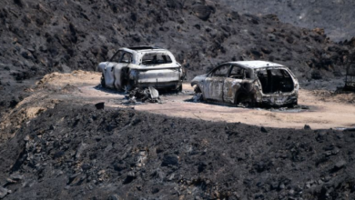 Photo of Zjarri shkatërrues përhapet në Andaluzinë e Spanjës, pasi 12 persona kanë humbur jetën