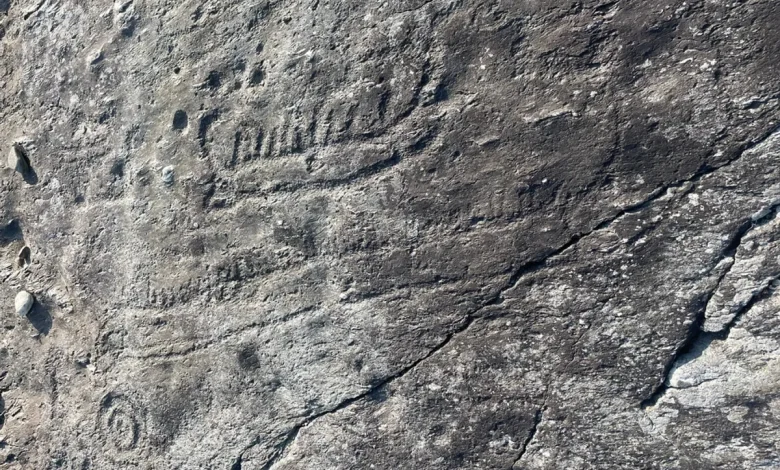 Analiza e gdhendjeve të lashta në shkëmb sugjeron se komunitetet e Epokës së Bronzit në Europë ishin më të lidhura nga sa mendohej
