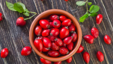 Photo of Trëndafili i egër: Fruti i pasur me vitaminë C që forcon imunitetin, dhe përmirëson shëndetin