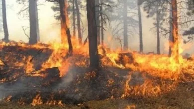 Photo of Zjarre aktive në tre lokacione në Maqedoni, QMK: Zjarrfikësit në terren