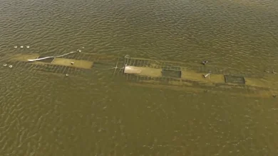Photo of (VIDEO) Ujërat e Danubit bie në nivele historike, thatësira zbulon anijet e fundosura të Luftës së Dytë Botërore në Serbi e Kroaci