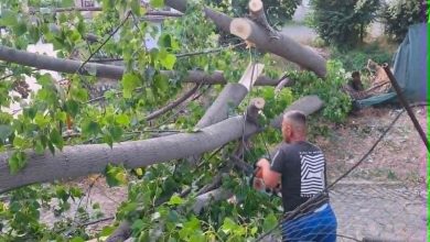 Photo of NPK Tetova: Pas stuhisë së djeshme të gjitha rrugët janë pastruar, apelojnë për kujdes të shtuar gjatë ditëd