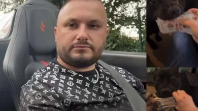 Photo of S’ndalet Dorian Puka, video duke “ushqyer” qentë me kartëmonedha paund, The Telegraph vijon të sfidojë qeverinë angleze