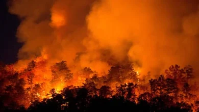 Photo of Europa nën pushtetin e flakëve/ Zjarr masiv në pyllin e Fontainebleau pranë Parisit, digjen qindra hektarë