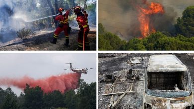 Photo of Evropa nën alarm nga zjarret, mijëra hektarë pyje përfshihen nga flakët