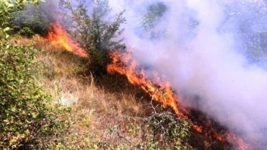 Photo of QMK: Gjithsej 14 zjarre në ambient të hapur, dy ende aktivë