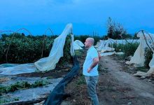 Photo of Albërim Hoxha në terren pas stuhisë: Jemi pranë fermerëve dhe do të ndjekim nga afër pasojat e motit të lig