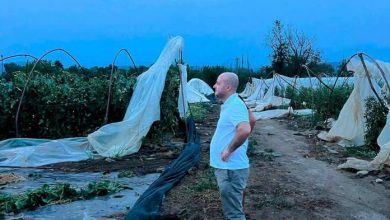 Photo of Albërim Hoxha në terren pas stuhisë: Jemi pranë fermerëve dhe do të ndjekim nga afër pasojat e motit të lig