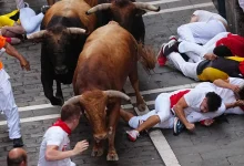 Photo of Vrapimi me dema në San Fermin të Spanjës/ 12 të plagosur, një në gjendje të rëndë