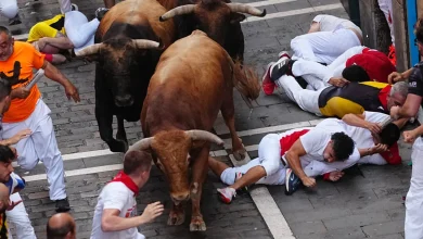Photo of Vrapimi me dema në San Fermin të Spanjës/ 12 të plagosur, një në gjendje të rëndë