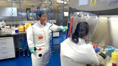 Photo of “S’mund ta përjashtojmë”: Shkencëtarët e Covid19 dyshonin privatisht se virusi mund të kishte dalë nga laboratori