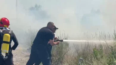 Photo of Zjarri në Drizë vihet nën kontroll, monitorimi do të bëhet edhe gjatë natës, mbi 100 ha ullishte dhe shkurre të shkrumbuara