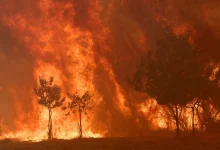 Photo of Zjarret në Evropë dalin jashtë kontrollit, shkencëtarët paralajmërojnë skenarë si “Ferri i Dantes”