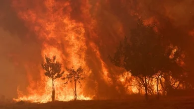 Photo of Zjarret në Evropë dalin jashtë kontrollit, shkencëtarët paralajmërojnë skenarë si “Ferri i Dantes”