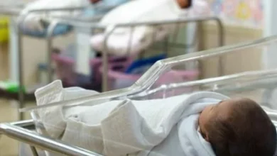 Photo of Zvicra në hall me natalitetin: Propozohen subvencione dhe lehtësime tjera për lindjen e fëmijëve