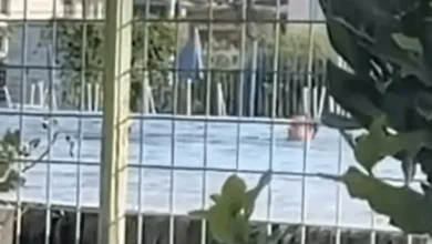Photo of “Ne po prisnim para Qeverisë, ai po bënte qejf në pishinë”-Musliu publikon pamje të Kurtit nga Banja e Malishevës