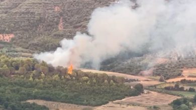 Photo of Situata e zjarreve në vend/ 11 vatra aktive, Ministria e Mbrojtjes: Shmanget rreziku për djegien e banesave në Gurë-Lurë