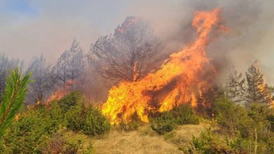 Photo of NË LUFTË ME ZJARRET! Temperaturat e larta dhe erërat vështirësojnë situatën