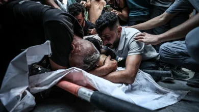 Photo of Shtatë palestinezë të vrarë nga sulmet izraelite në Gaza gjatë 24 orëve të fundit