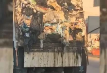 Photo of Fiton 1 milion euro, por kuponi kishte përfunduar në plehra! Punonjësit e pastrimit aksion kërkimi në Itali: U gjet pas kontrollit të 6 milion ton mbeturina