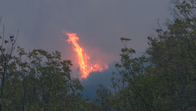 Photo of Zjarri në Kitkë mbetet aktiv, autoritetet dyshojnë se është shkaktuar qëllimisht