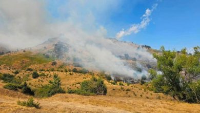 Photo of IPPK “Mali Sharr” apelon pas disa vatrave të zjarrit: Mos ndizni zjarre në natyrë