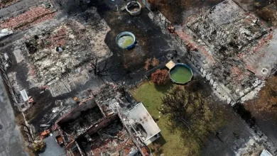 Photo of Katastrofa natyrore bën gjetjen historike/ Zjarret në Francë zbulojnë arsenalin e armëve të Luftës së Dytë Botërore, 400 predha shpërthejnë nga nxehtësia