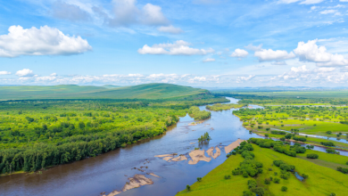 Photo of Kina do të rrisë mbrojtjen ekologjike deri në vitin 2030