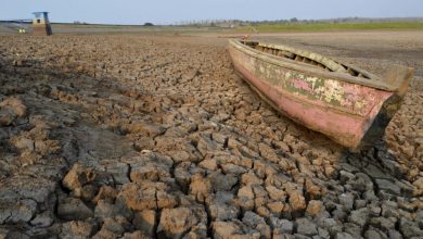 Photo of Fenomeni ‘El Nino’, viti 2027 mund të jetë më i nxehti i regjistruar ndonjëherë