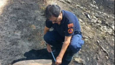 Photo of Largohen granata të rrezikshme nga luftërat e kaluara në një zonë të përfshirë nga zjarri në Maqedoninë e Veriut