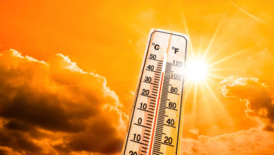 Photo of Nesër fazë portokalli, temperaturat deri në 40 gradë