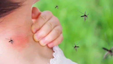 Photo of Alarm në Greqi, virusi i Nilit Perëndimor përhapet me shpejtësi, 6 viktima dhe 65 të infektuar