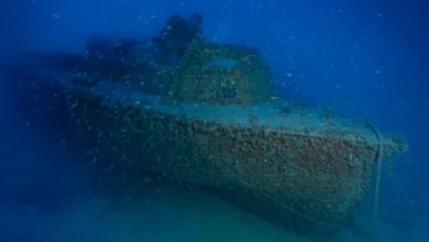 Photo of Zbulim i rrallë në Detin Jon, gjendet pas 83 vitesh anija e Luftës së Dytë Botërore