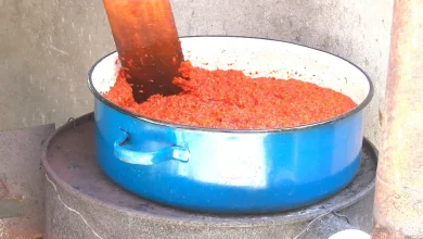 Photo of Ajvari po bëhet luks në Shtip: Një kilogram speca arrin 100 denarë
